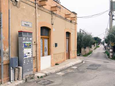Via Lepore, una strada molto stretta costeggiata da muretti a secco e ulivi